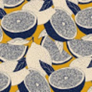 Meet your Posher, Dylan